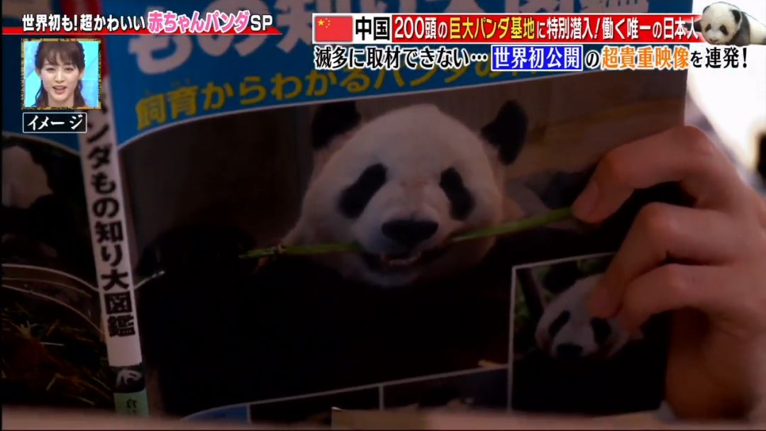 视觉志■为了学四川话，这个姑娘拼了！