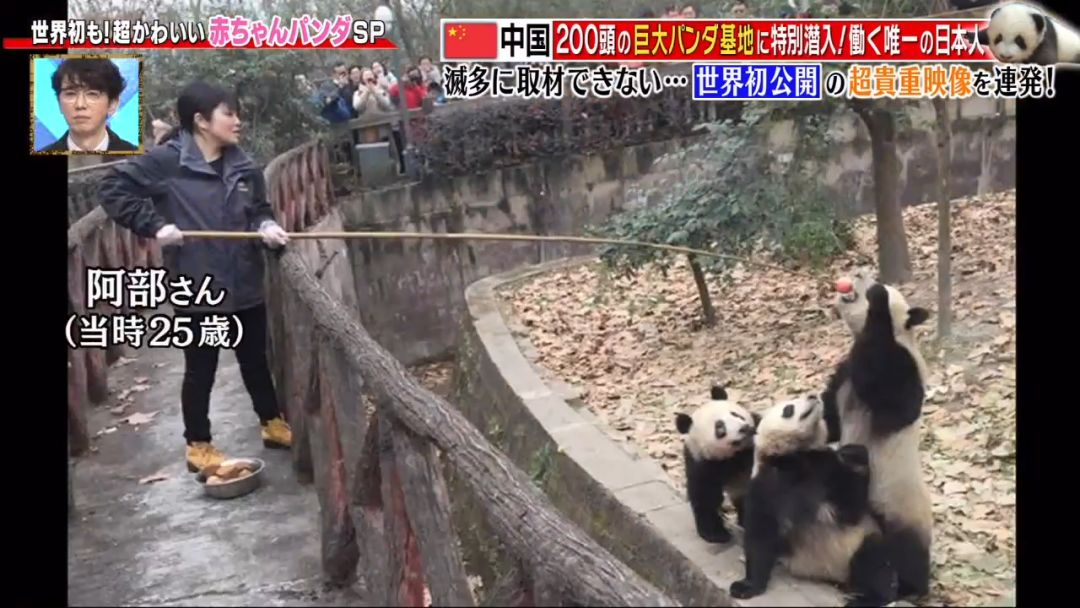 视觉志■为了学四川话，这个姑娘拼了！