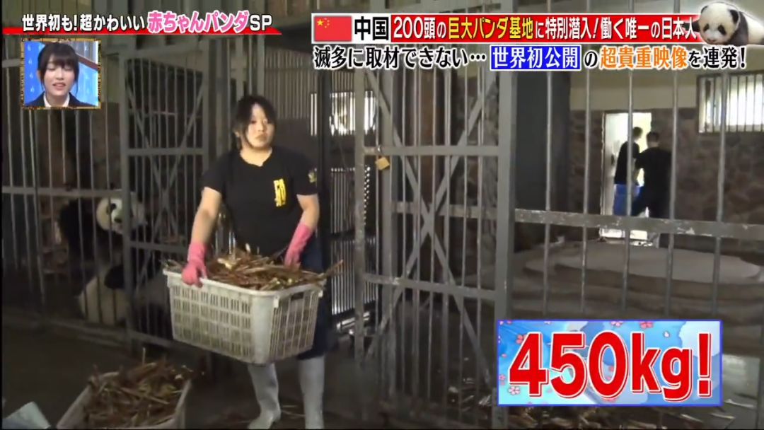 视觉志■为了学四川话，这个姑娘拼了！