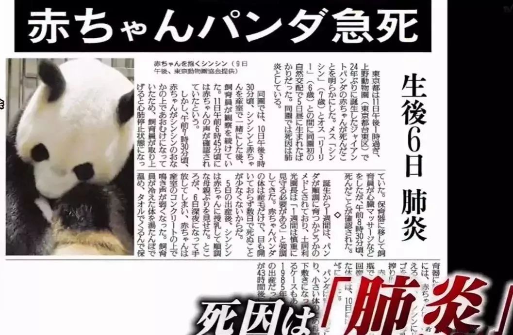 视觉志■为了学四川话，这个姑娘拼了！