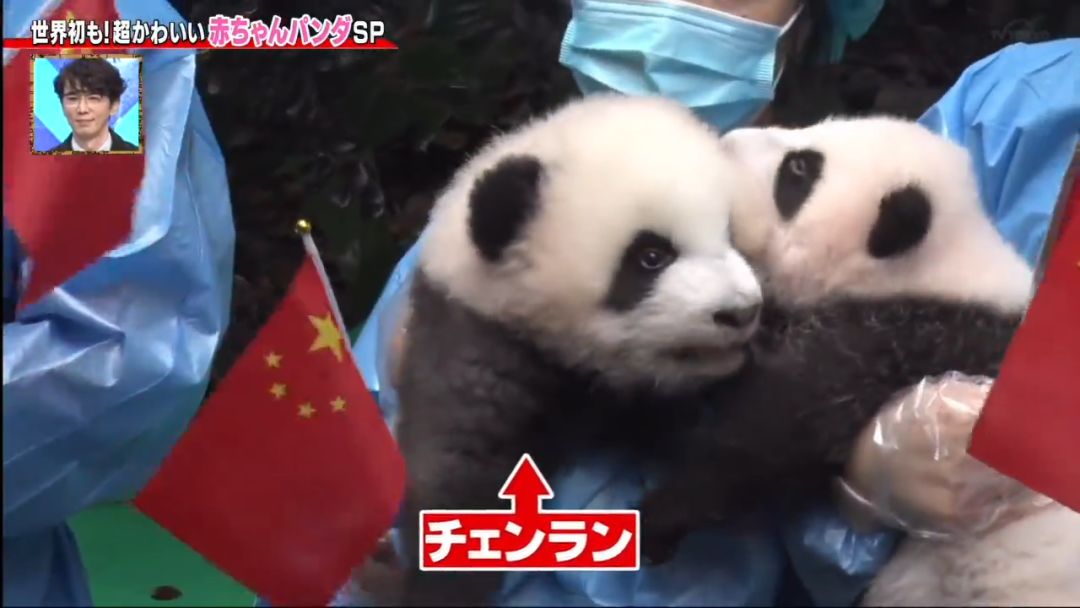 视觉志■为了学四川话，这个姑娘拼了！