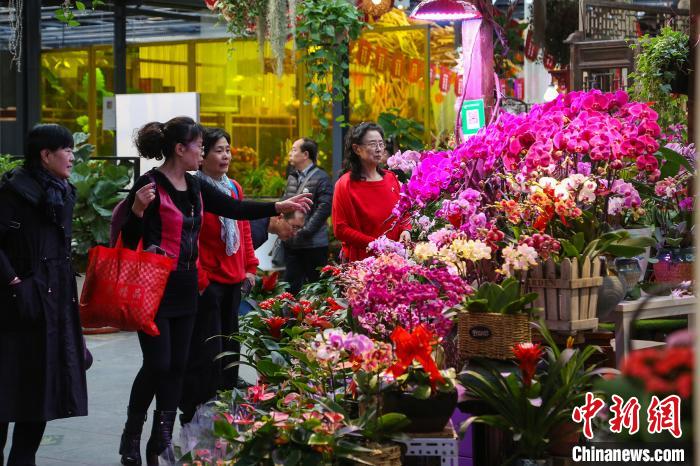 「经济日报」2020年北京迎春年宵花展开幕 上千万盆年宵花投放市场