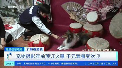 经济日报：宠物摄影火爆：千元套餐受欢迎 有商家预约需排队1年