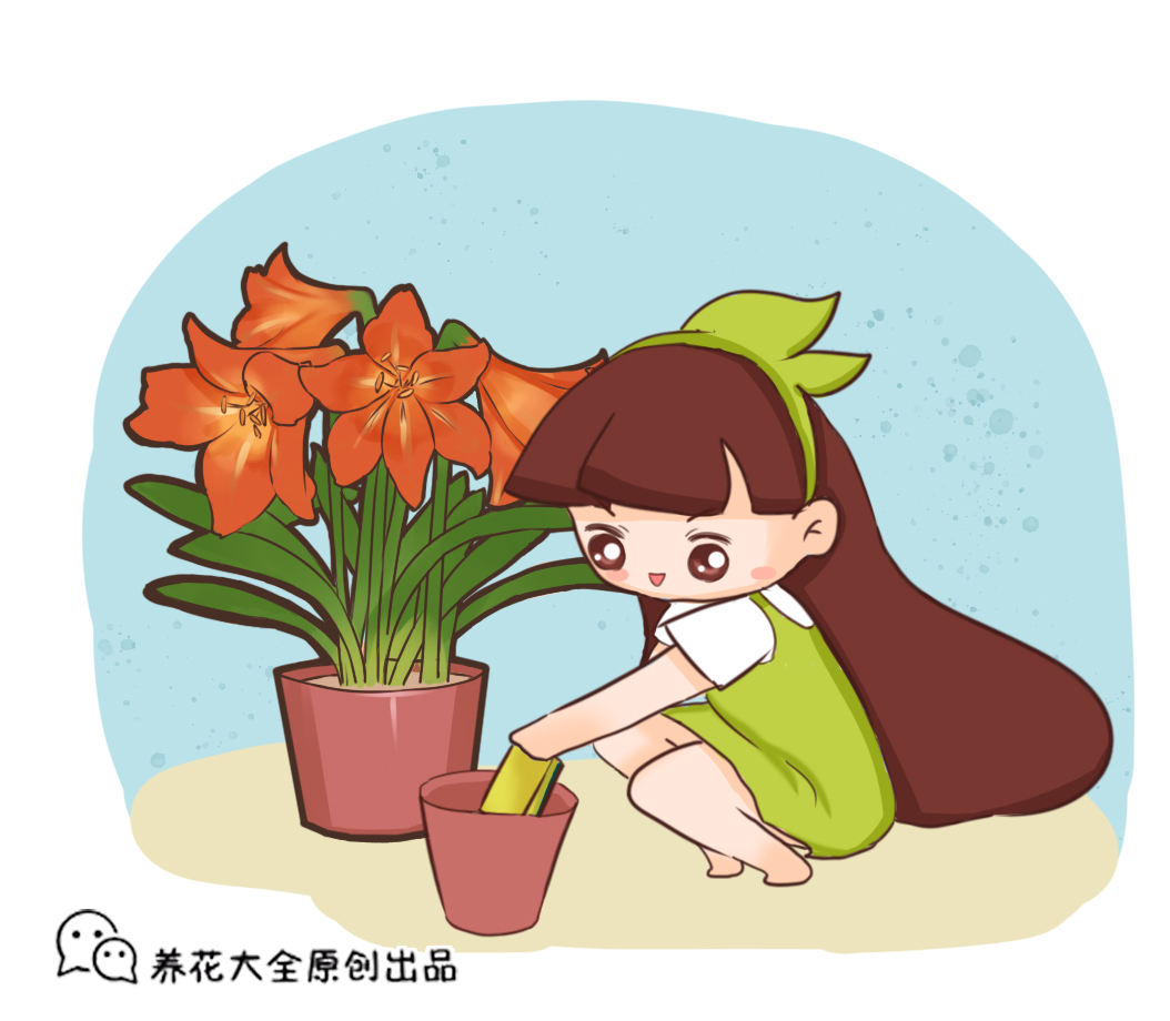 2种花要想长得好必须换盆否则黄叶烂根