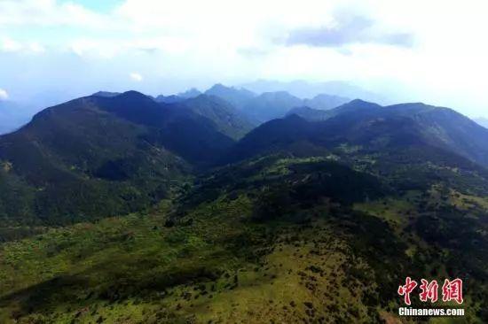 [南国今报]公然在国家公园里毁林取水？农夫山泉咋想的？！官方通报了……