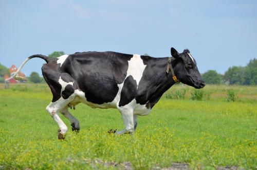 同种奶粉批次不同颜色有差异是正常的吗