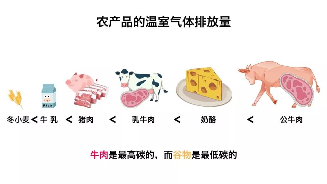 「国是直通车」能源冷知识｜全国碳排放的一半以上竟然来源于它