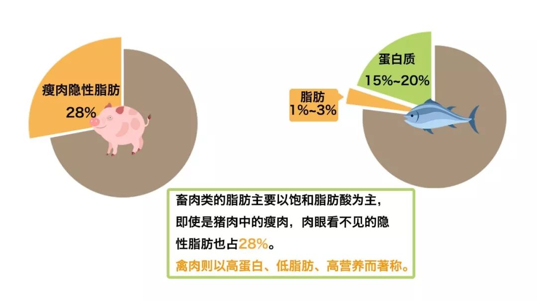 「国是直通车」能源冷知识｜全国碳排放的一半以上竟然来源于它