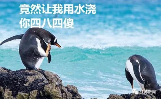 【半岛晨报】油锅起大火，老公竟让妻子用水浇！