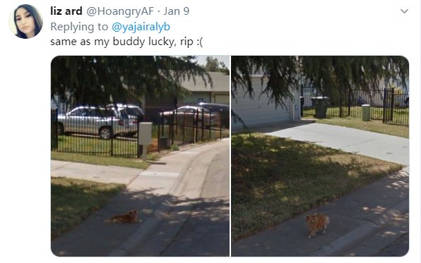 环球时报：刚刚，我见到了三年前去世的爸爸……