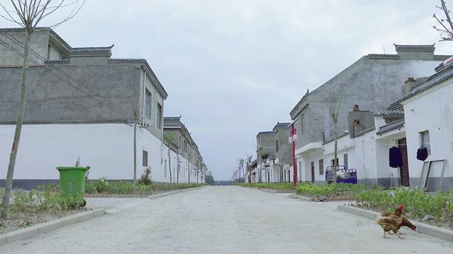 「红星新闻」灯没安、路没修，竟斥巨资“刷白墙”！假脱贫，为面子丢里子