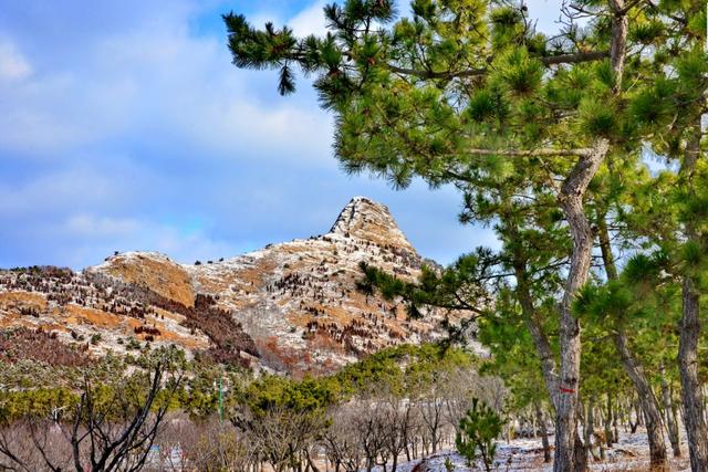 今日不妨跟随好客君的脚步,再次回味一下乳山的雪景~美成