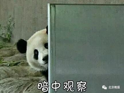 「经济日报」刷屏了！微信表情上新，为啥你没有？