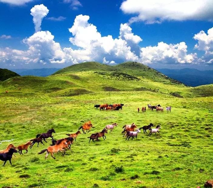 六盘水的绝美大草原:悄悄藏在这高山之巅,等你光临!