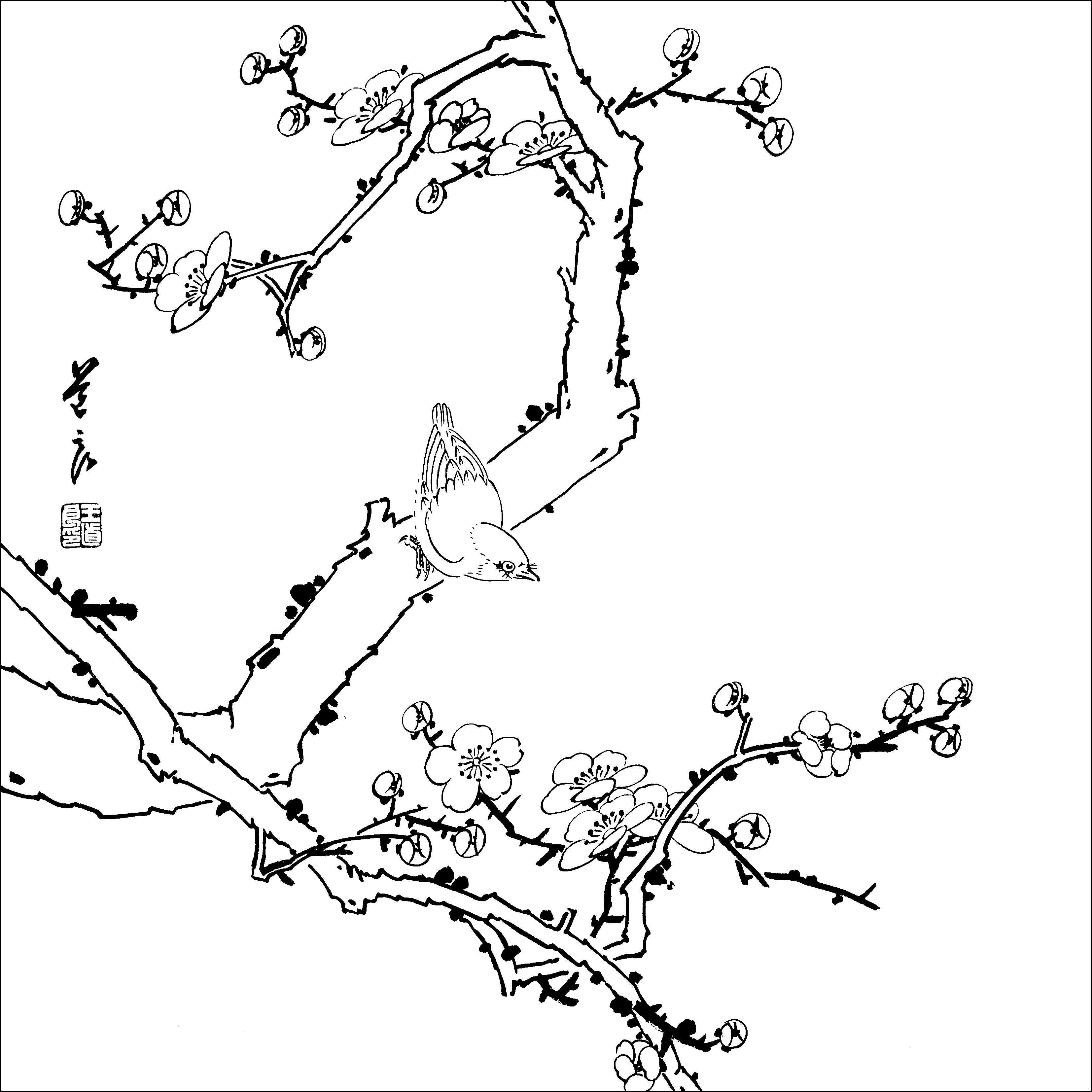 想学好工笔画先从白描开始
