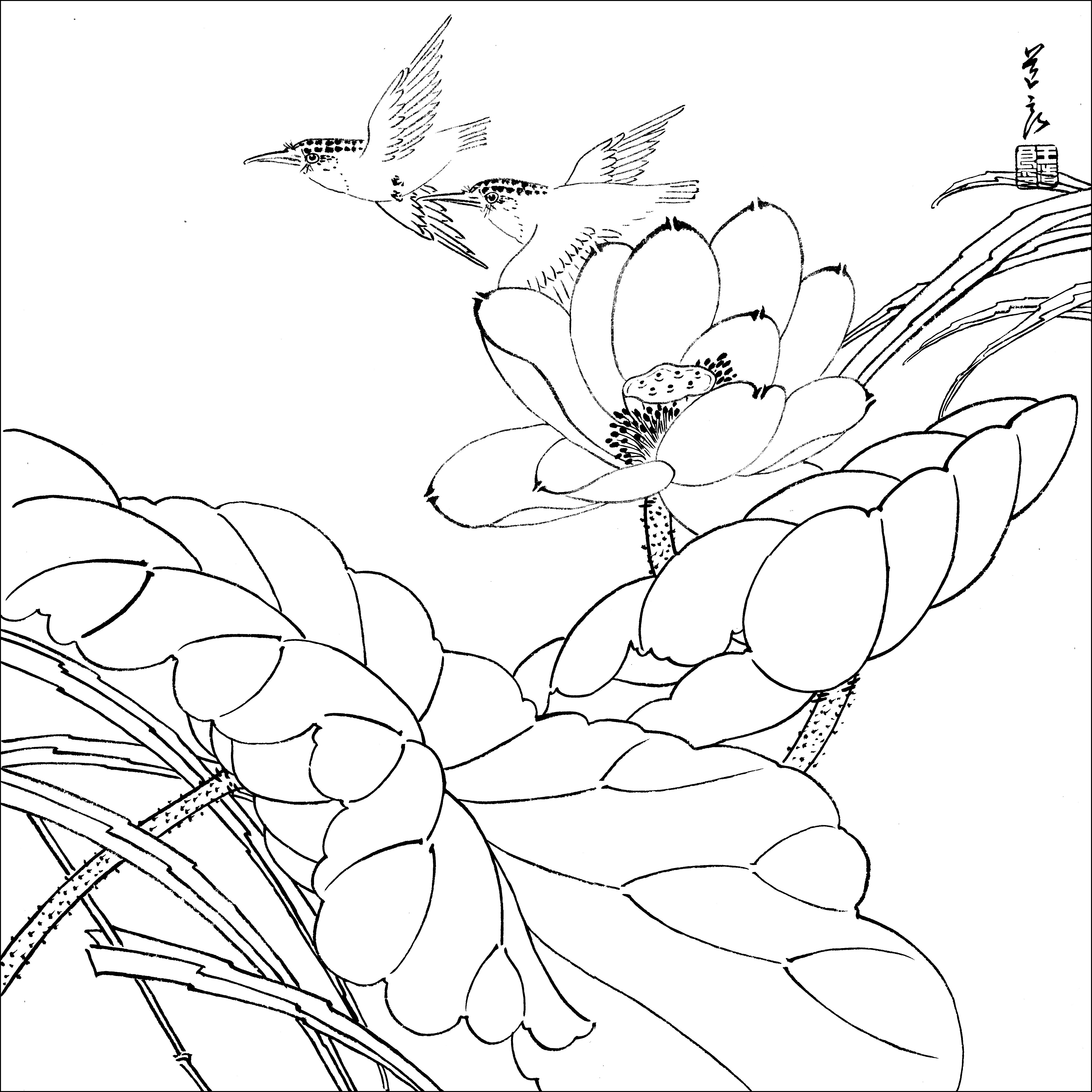 想学好工笔画先从白描开始