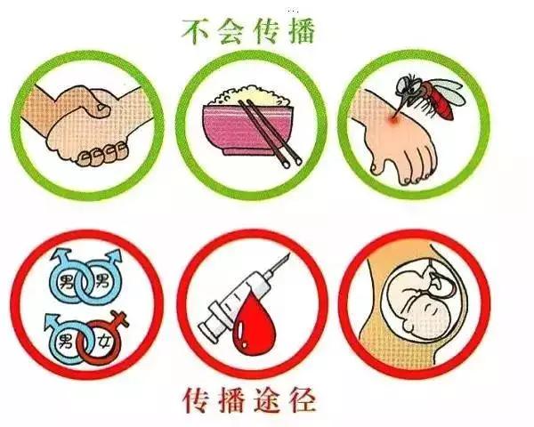 其实,艾滋病病毒和乙肝病毒一样,并不会通过消化道传播.