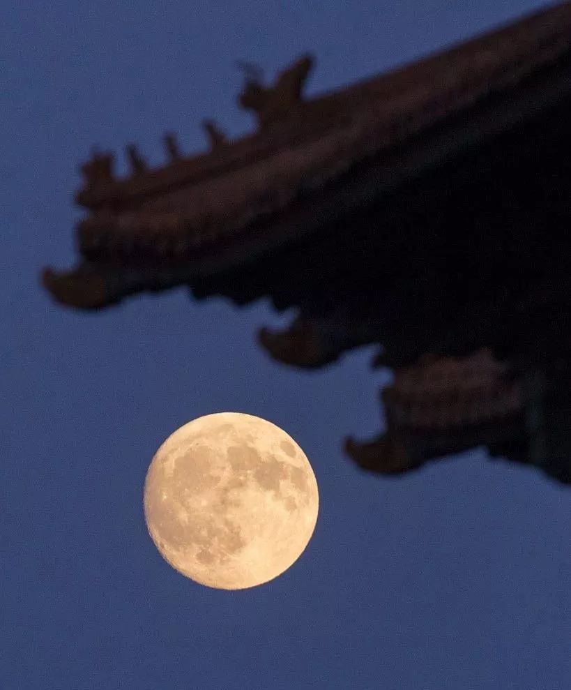 「经济日报」有一种幸福，叫回家吃饭