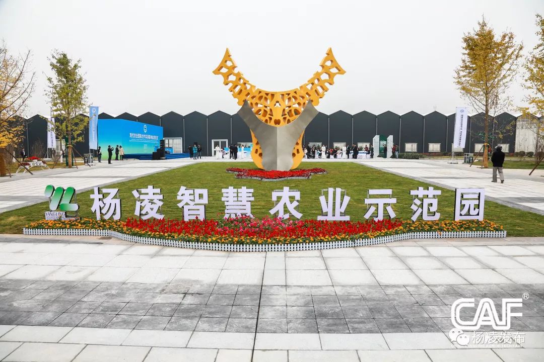 陕西日报杨凌奋力谱写上海合作组织农业合作新篇章