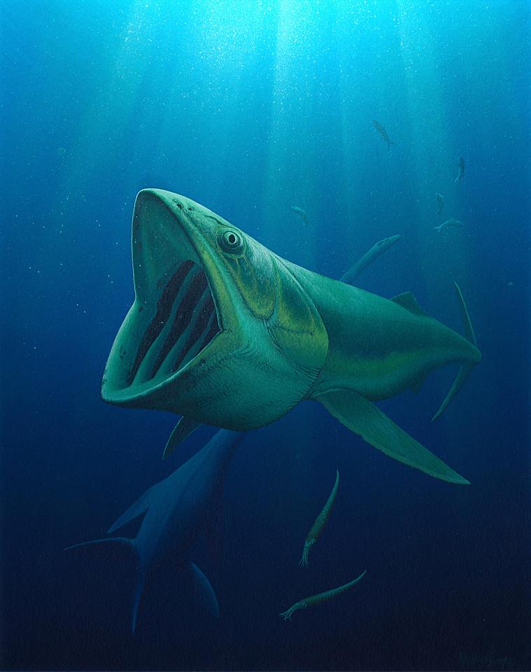 侏罗纪大鱼长着巨嘴却是海中吸尘器