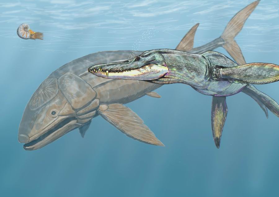 恐龙时代最大的鱼图片