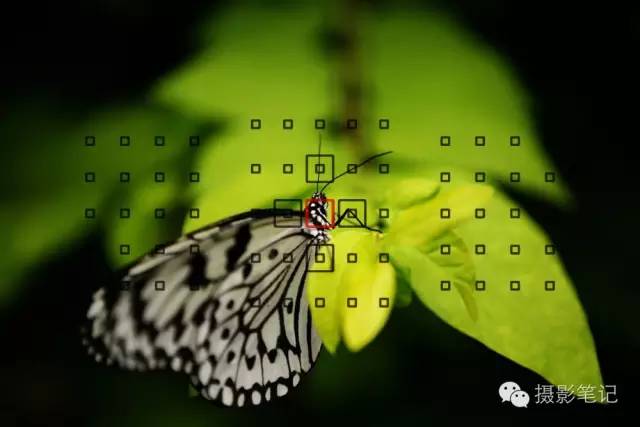 中间红红的就是对焦点.