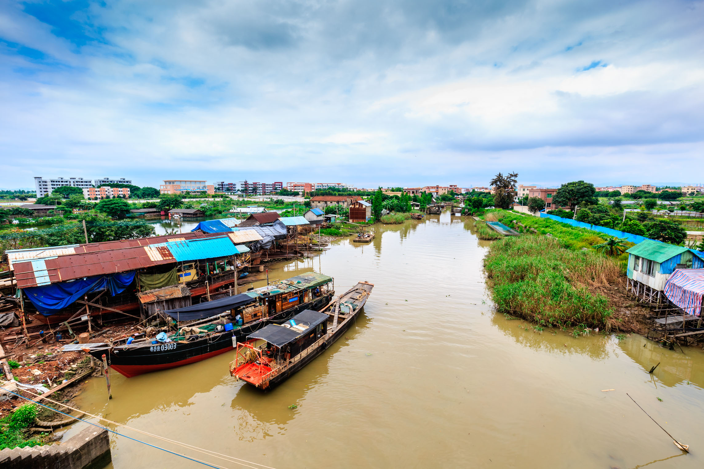番禺有个未开发的原生态海岛野钓烧烤环岛骑行鱼虾蟹即捞即食