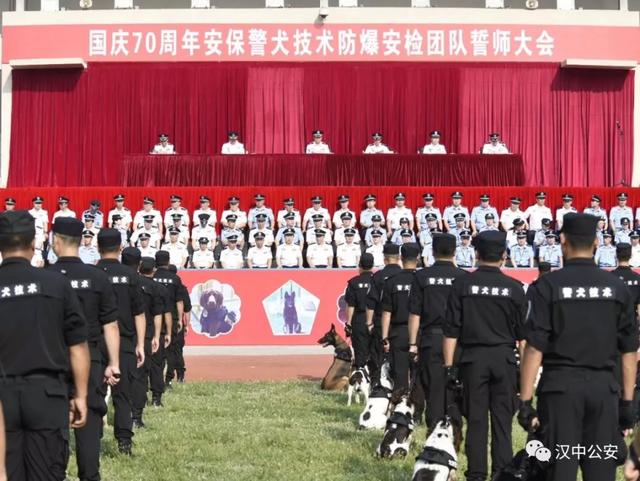 [陕西法制网]汉中公安有支“神秘部队”，最近受到了公安部的表彰，又萌又能抓坏人，你见过吗？