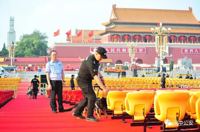[陕西法制网]汉中公安有支“神秘部队”，最近受到了公安部的表彰，又萌又能抓坏人，你见过吗？