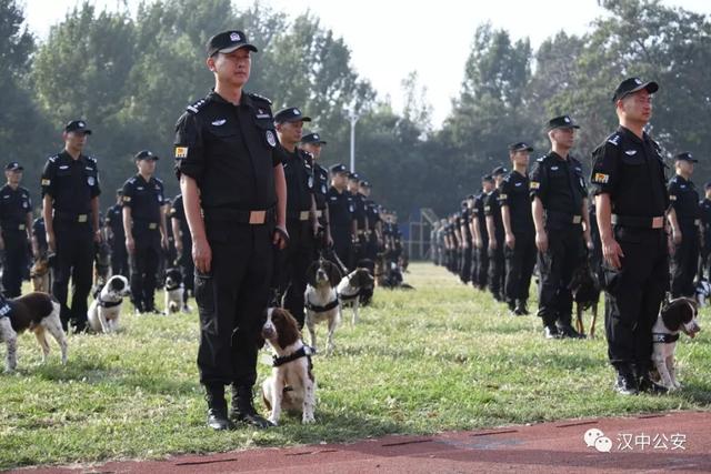[陕西法制网]汉中公安有支“神秘部队”，最近受到了公安部的表彰，又萌又能抓坏人，你见过吗？