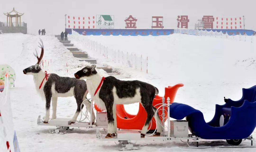 巨鹿县滑雪场图片