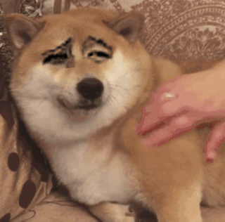 【荆楚网】老板你是不是少发了我一万块？年终奖报告出炉，从事金融业的天蝎座拿的最多……