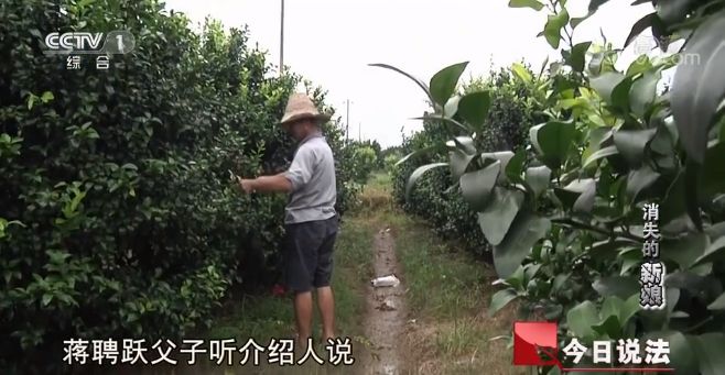 「武汉广电掌上武汉」媒体曝光！多名新娘同时离奇消失，背后的真相竟然是……