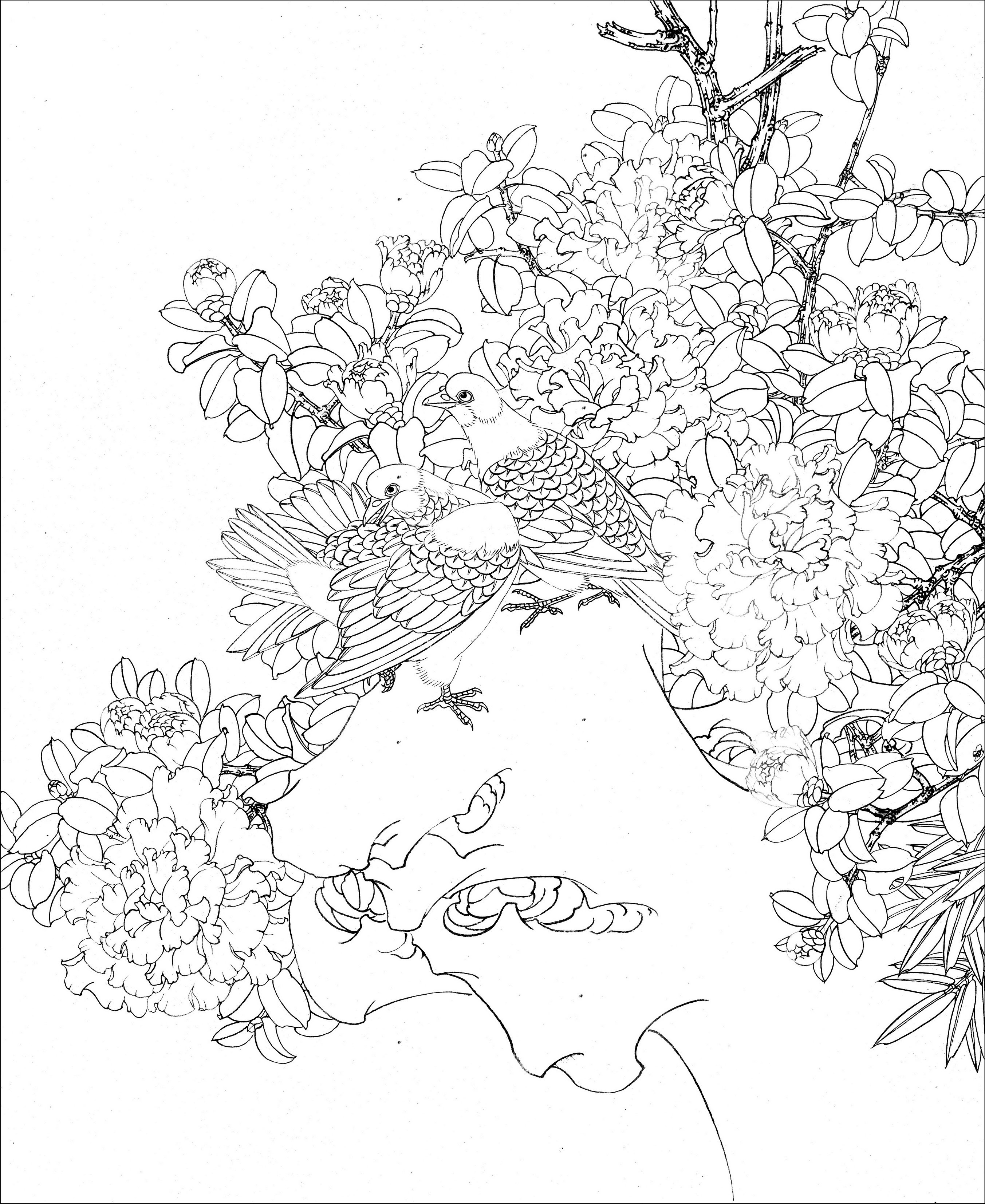 工笔花鸟白描难得一见的好资料高清晰