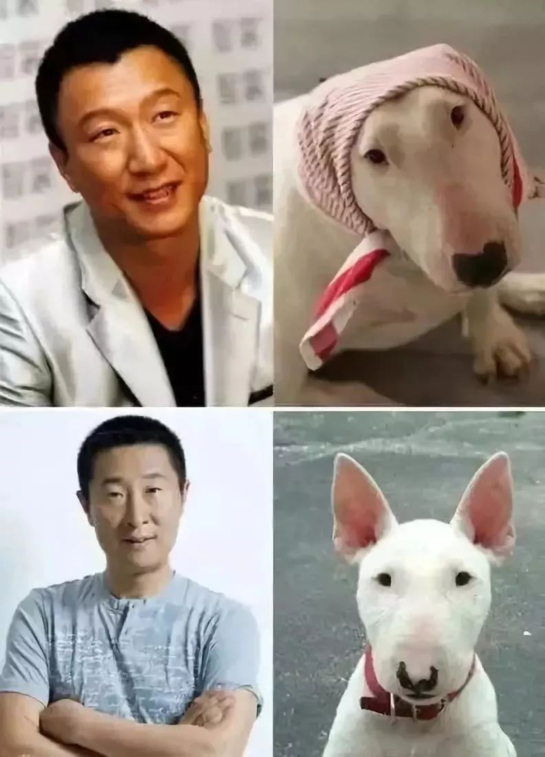 二哈前不久的明星大侦探里张若昀和林更新难得同了次框火眼金睛的网友