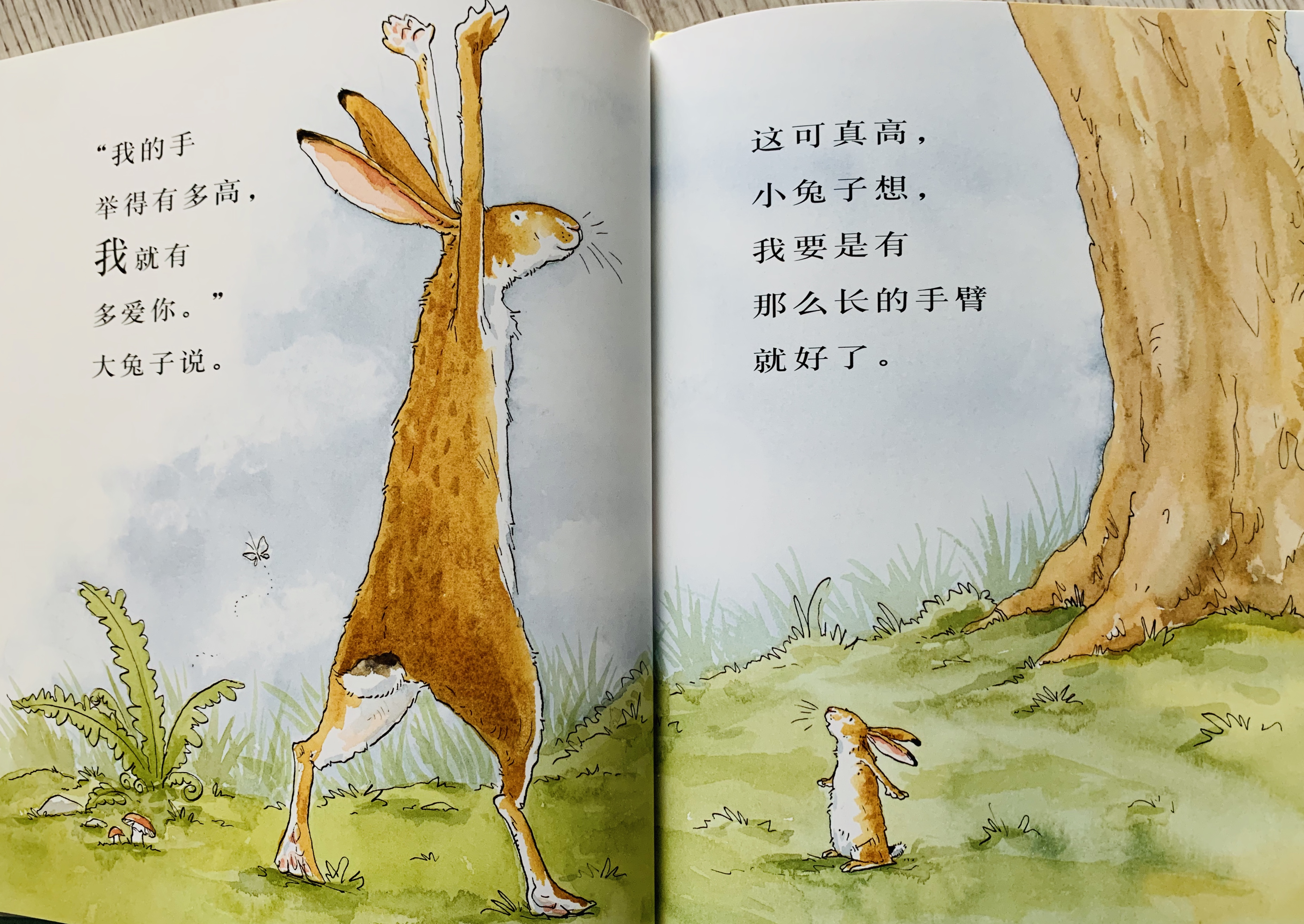 亲子绘本猜猜我有多爱你对孩子爱人家人爱都需要大声说出来