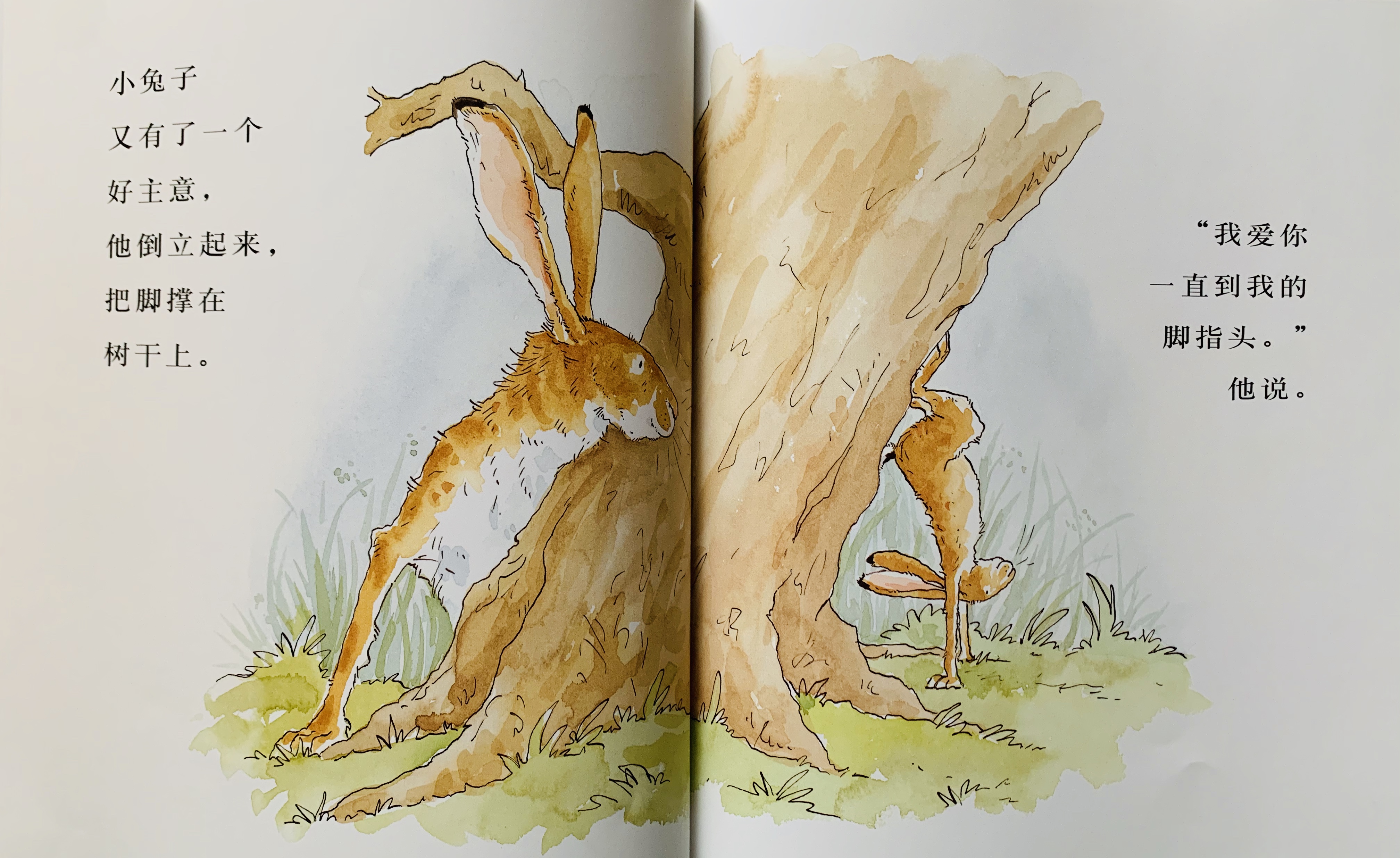 亲子绘本猜猜我有多爱你对孩子爱人家人爱都需要大声说出来