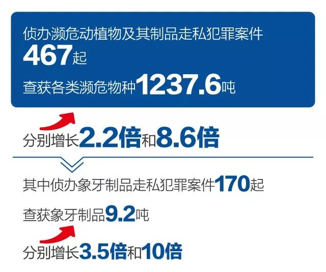 #海关发布#“国门利剑2019”打私联合专项行动成绩单来啦