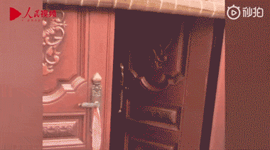 洞见■今年春运最感人的15个瞬间：世界再大，总有人盼你回家