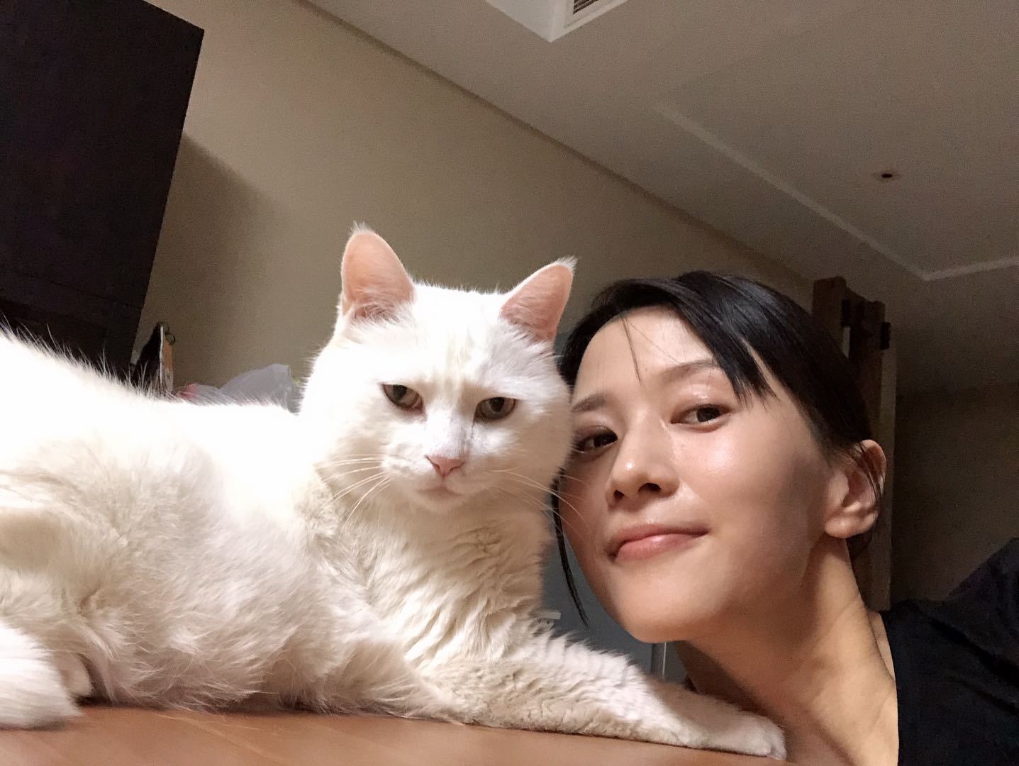 papi酱晒孕照,一个"细节"让网友炸了锅:怀孕养猫小心孩子畸形