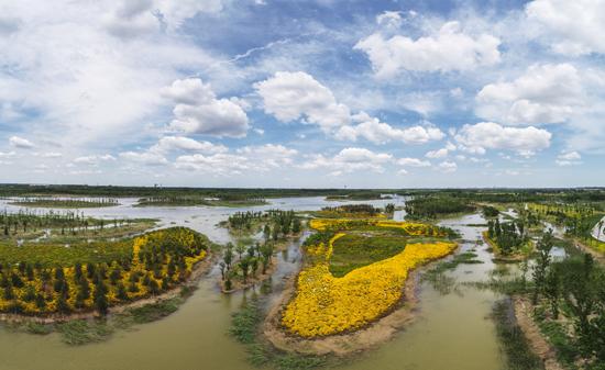 黄河国家湿地公园面积图片