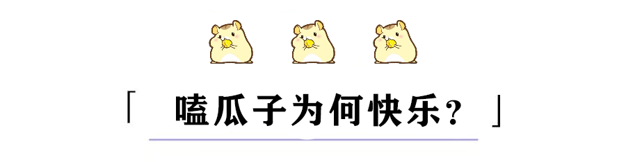 「中国消费者报」一嗑就停不下来！你中过瓜子的“毒”吗？