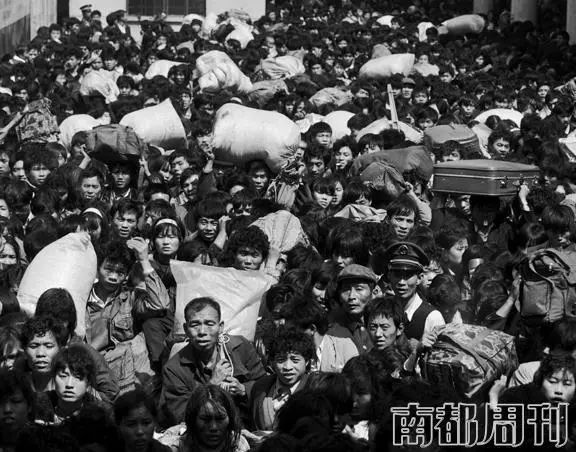 #视觉志#“上车了，我撒欢儿了！”｜百家故事