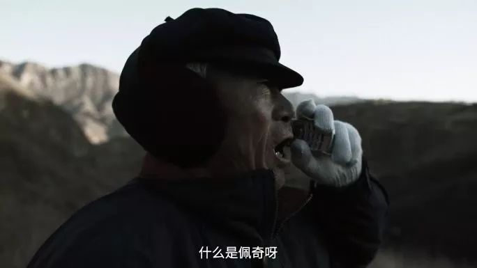 #视觉志#“上车了，我撒欢儿了！”｜百家故事