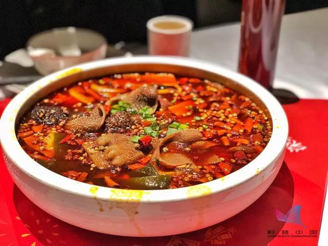 【科普中国】牛奶、香蕉、柿子等到底能不能空腹吃？今天和你说明白