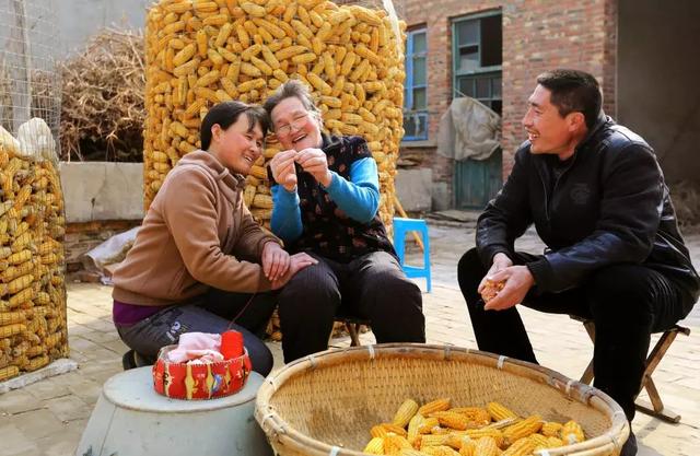 【中国农科新闻网】农村失地农户，怎么保障他们的基本生活？