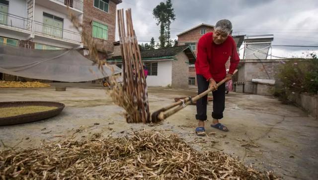【中国农科新闻网】农村失地农户，怎么保障他们的基本生活？