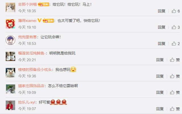 「映象网」可爱！小松鼠看男孩玩魔方 手舞足蹈想出谋划策