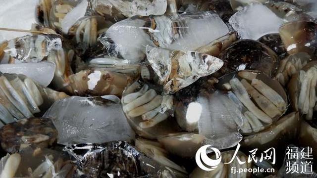 福州新闻网■厦门第八市场年味十足 市民纷纷打卡寻“闽南古早味”