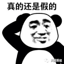 英国报姐：靠方形粑粑扬名的网红袋熊，居然还是大火中的暖心英雄？！